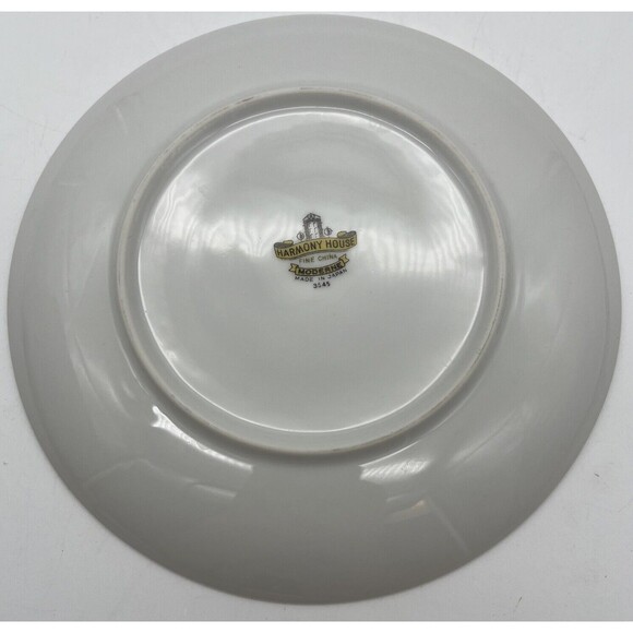 harmony house Moderne fine china Japan Desert Appetizer Plate White Silver Rim - Picture 5 of 5